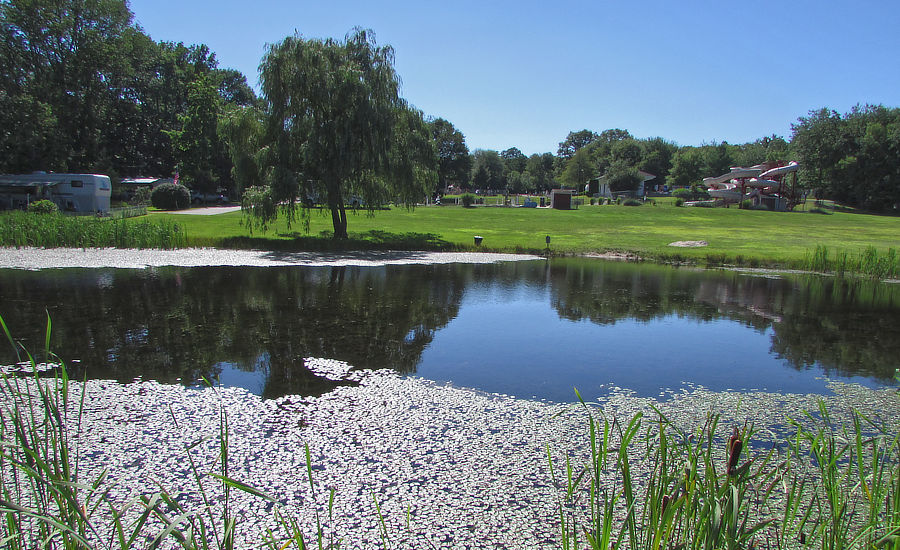 a view across the pond