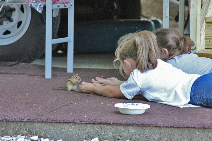Girls with chipmunks